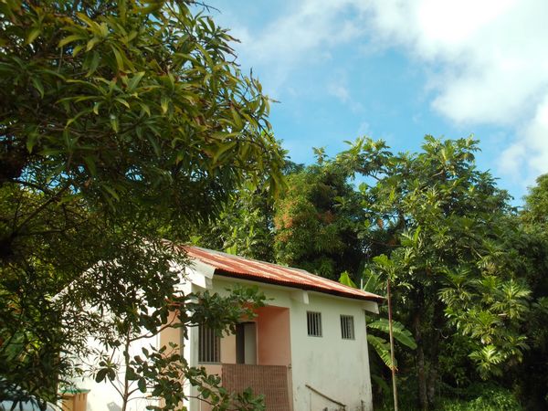 Maisonnette de Steeve, dans quartier très clame à proximité de commerce la Galléria,  à 5mn de FdeF