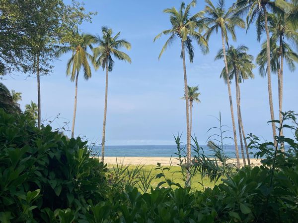 La maison de Anna Camila Micó