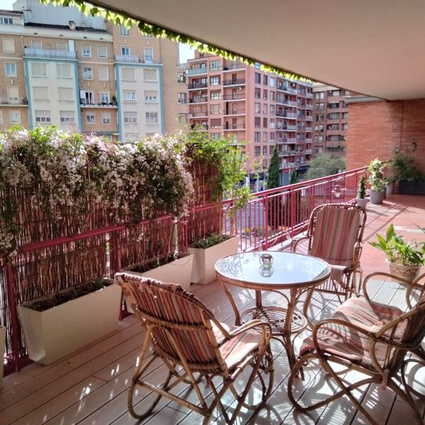 Descubre La Rioja desde el corazón del Logroño