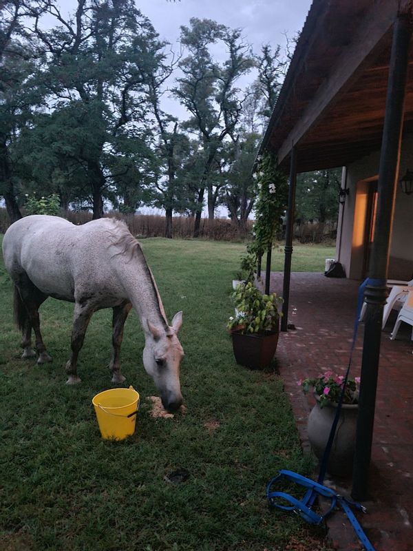 La maison de Guadalupe