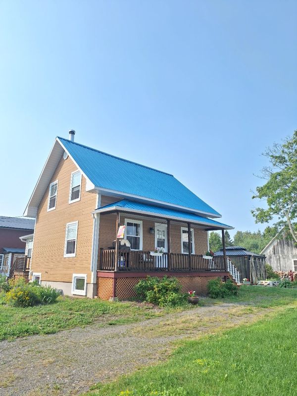 La maison au toit bleu au bord du fleuve, avec chat !