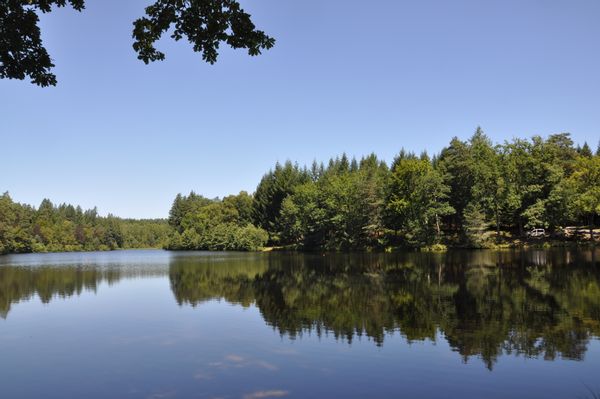 On est bien en Corrèze chez Anne-Marie!