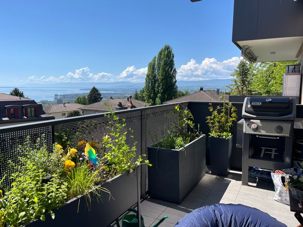 L'appartement avec vue sur le lac d'Iris et Simon