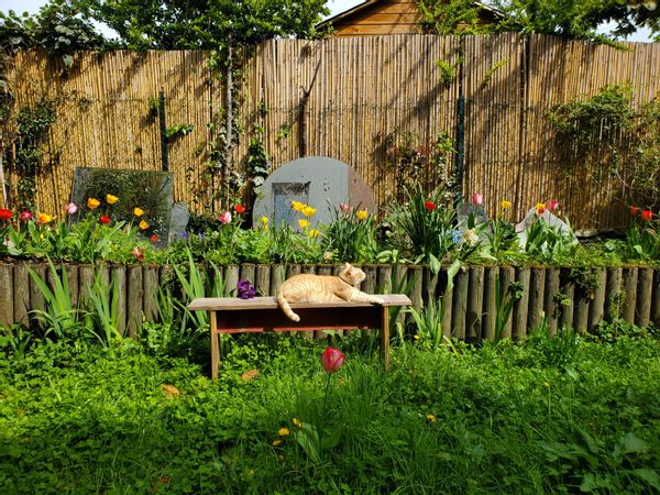 Maison avec jardin à Montreuil
