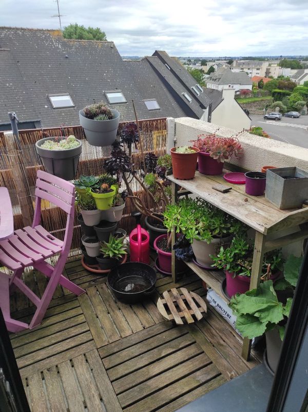 Virginie's house
