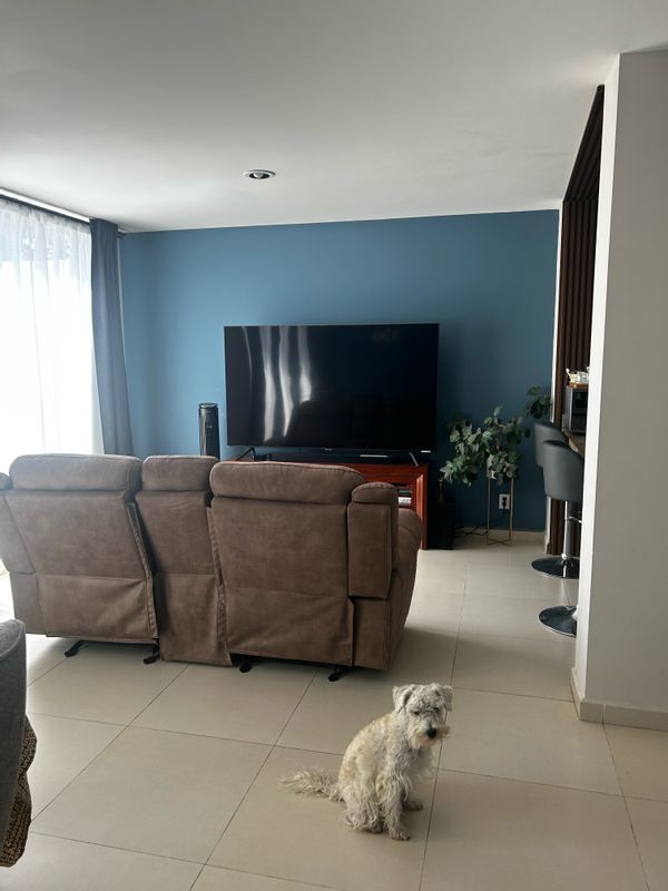 Monica's house