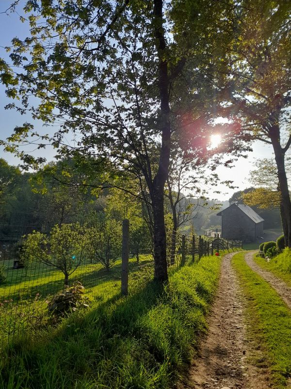 Aux champs des oiseaux