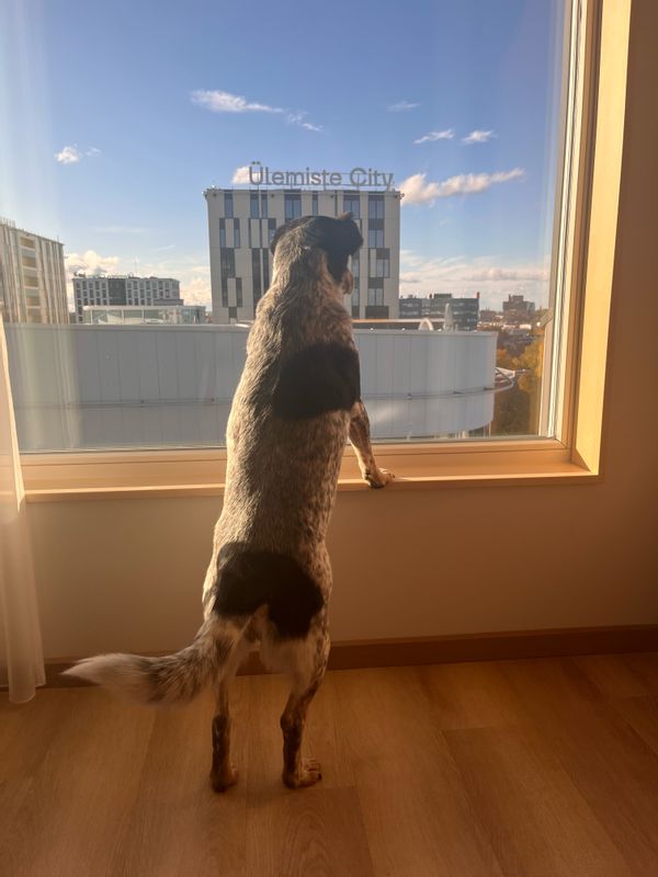 La maison de Honorata