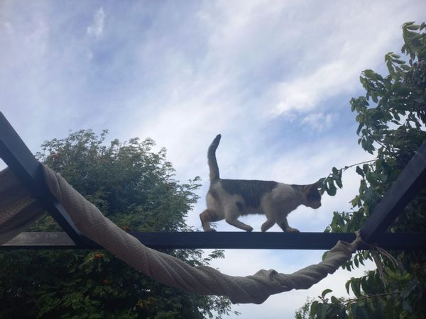 Casa di maría Luján