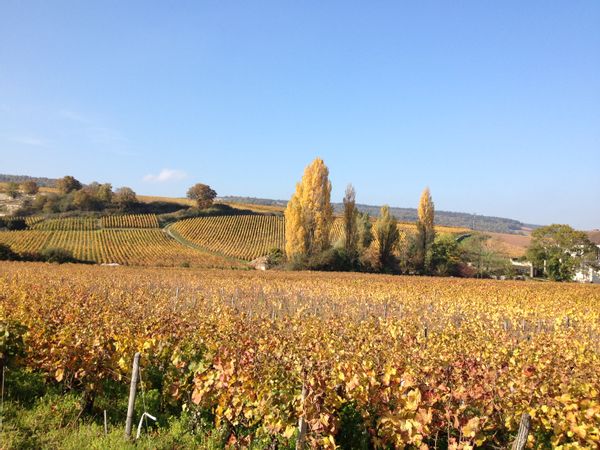 La maison de Florence