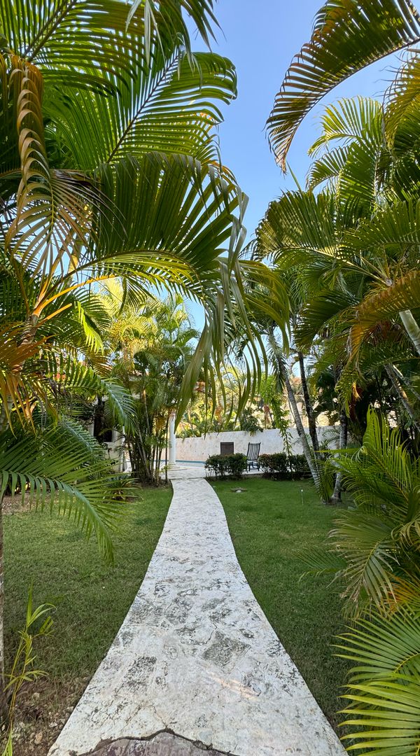 Caribu