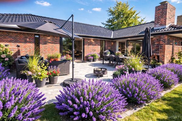 Mitt i Danmark – Kattälskare sökes: 30 juni–9 juli. GP sänkt ❤️