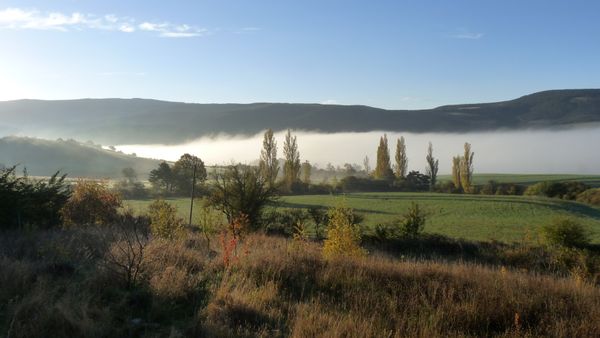 studio bioclimatique de plain pieds