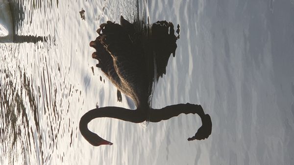 Grande maison Bourgogne près de chablis guedelon auxerre