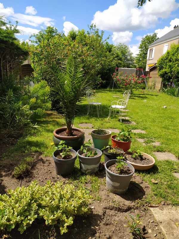La maison d'Annabelle & David à Orléans