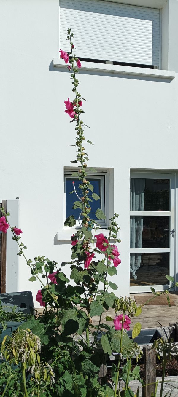 La maison de Isabelle