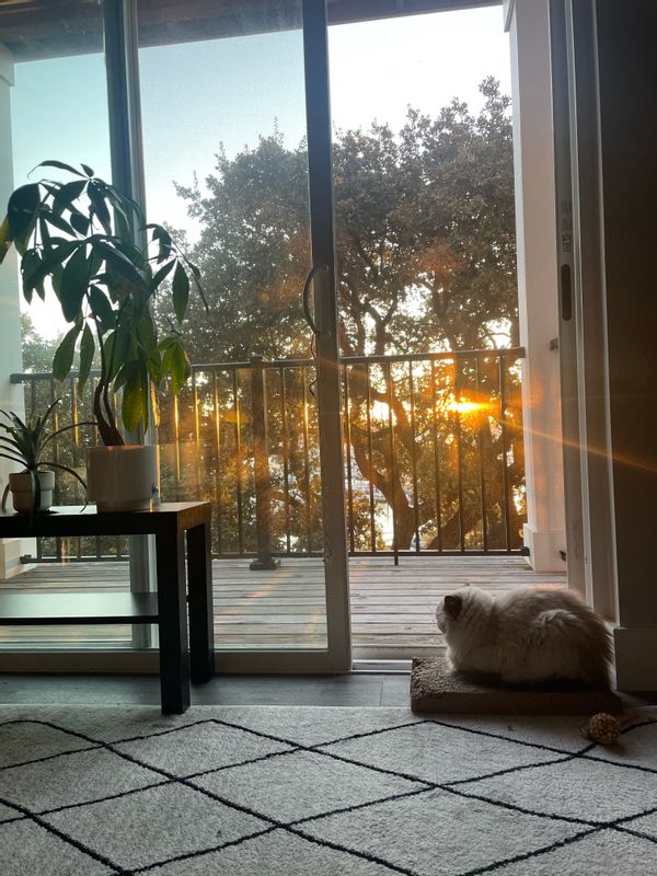 La maison de Sara & Thomas