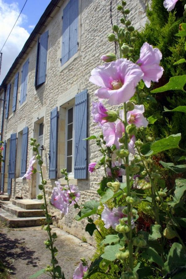 La maison de Albane / Albane's home sweet home