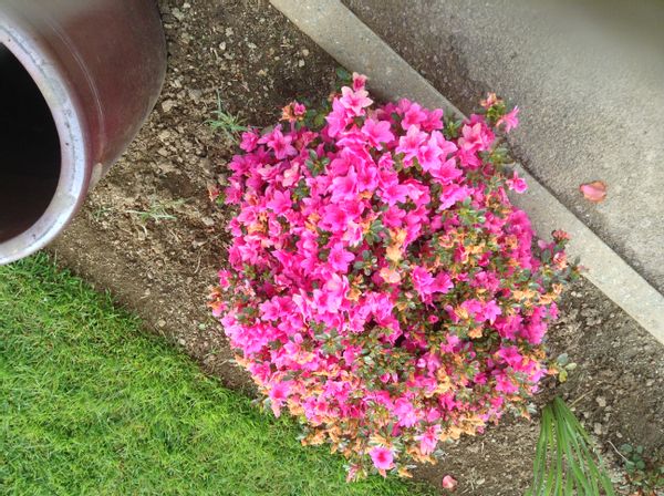 La maison de Fernand