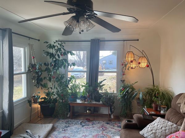 Garden Oasis Between Denver and the Mountains