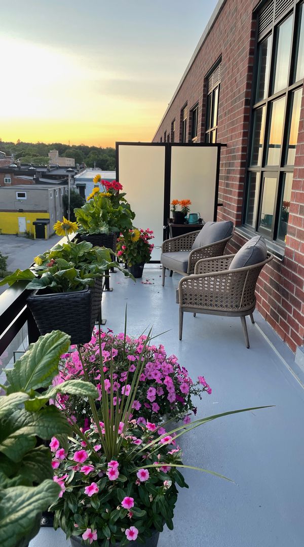 Loft in Quaint City