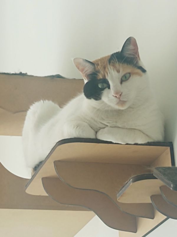 La maison de Luciana