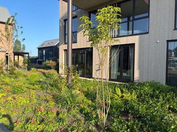 Maartens hus