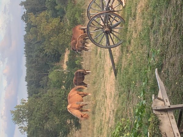 Hem i Beaune-sur-Arzon