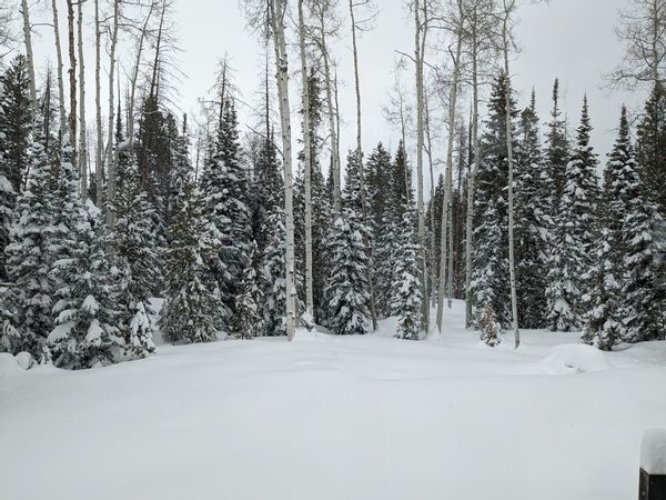 Steamboat Springs Mountain Getaway