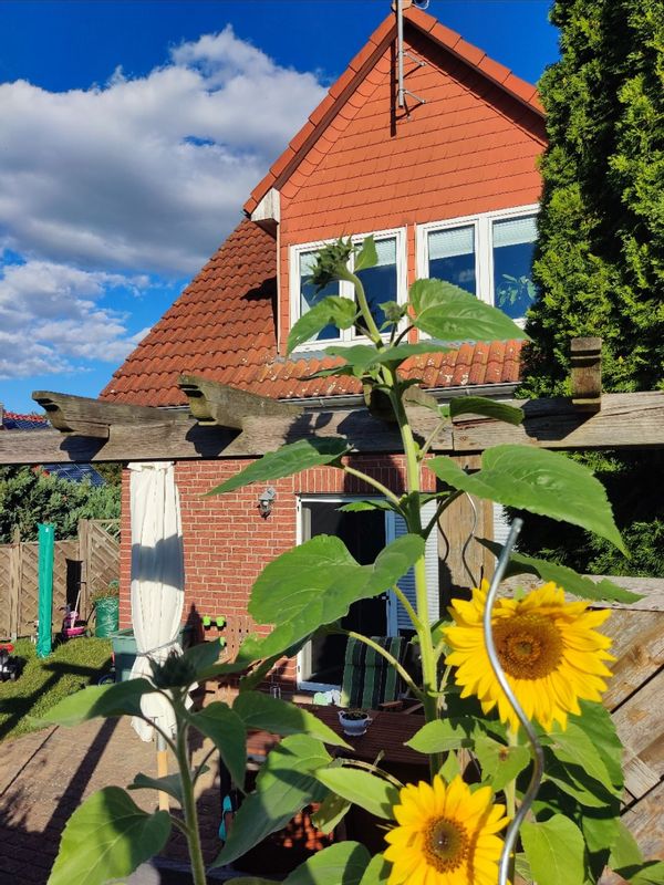 La maison de Christin