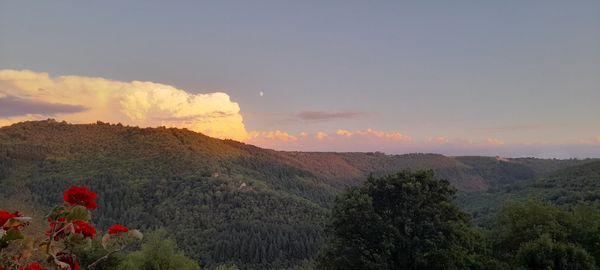 La maison de Laurent