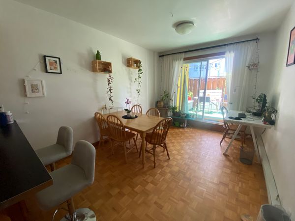 Cosy Appartment close to Parc Lafontaine