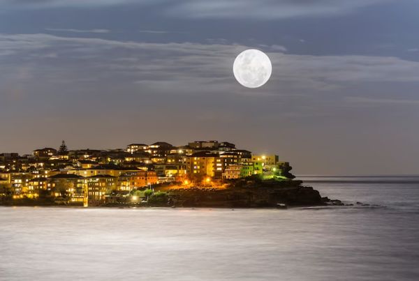 Bondi Beach - Spacious contemporary light filled house with 180º beach views