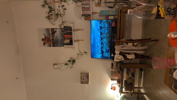 דירת יחיד מתוקה
