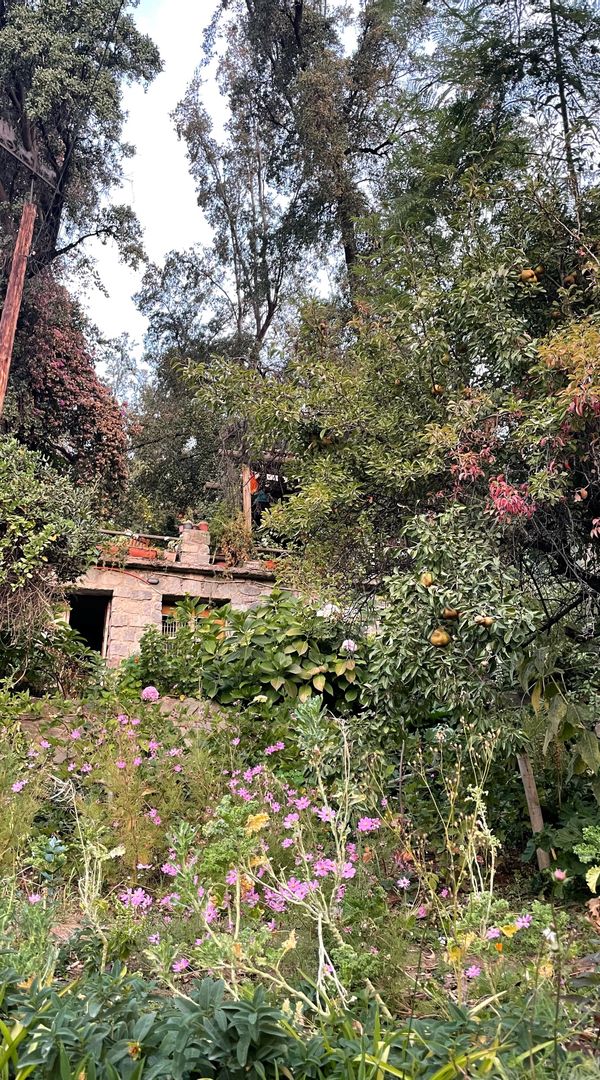 La maison de Florencia