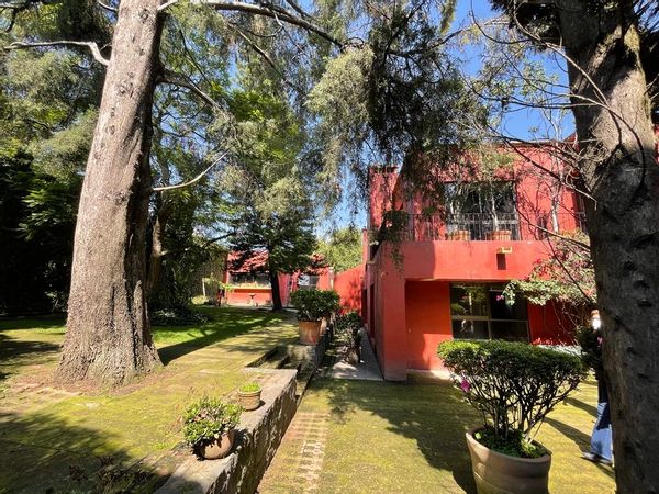La casa de los pájaros (The birds house)