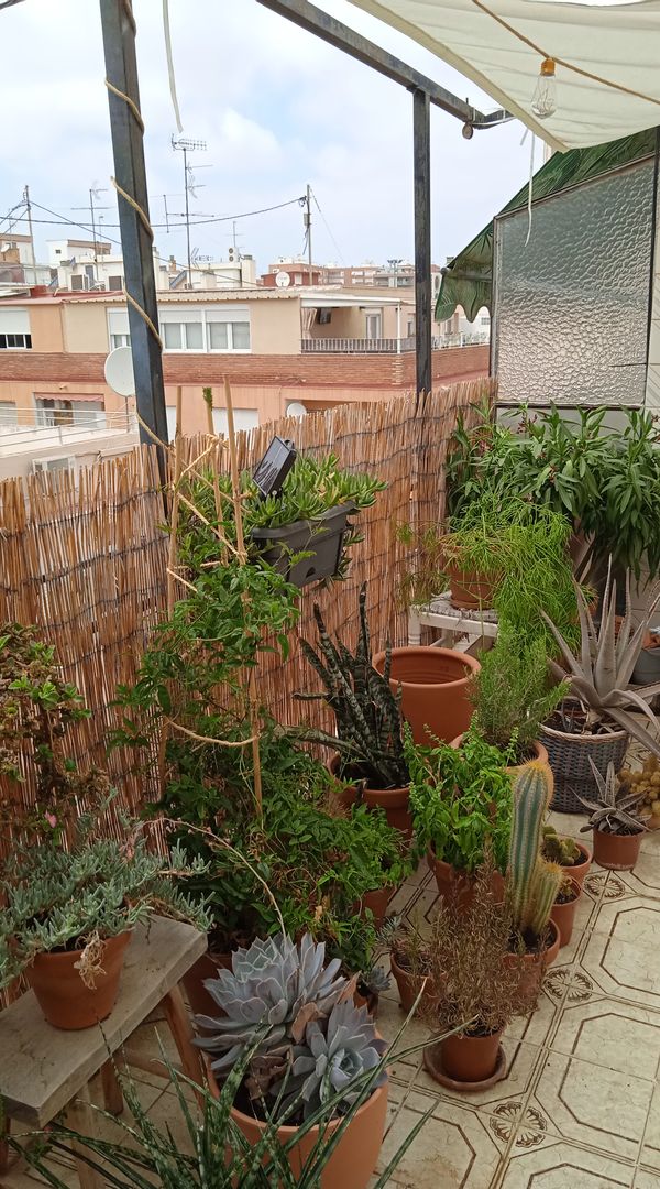 Johanna's house