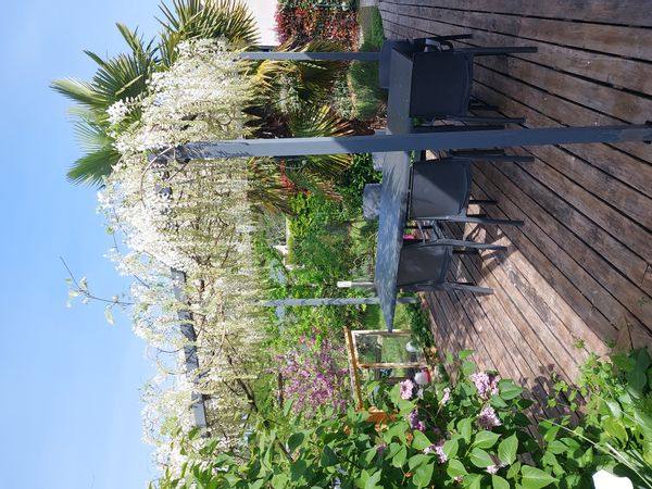 Au cœur de la Touraine, bordant la Loire à vélo, les vignobles, les châteaux.
