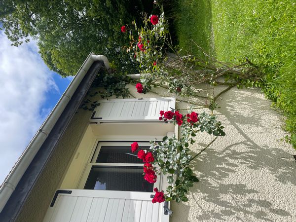 Lorine's house