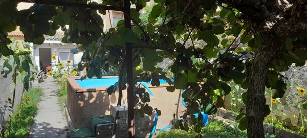 Casa di La casa d'en Lluís i Kitty