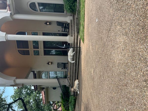 Lisa's house