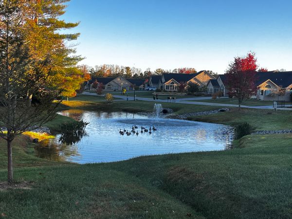 Cottage by the pond