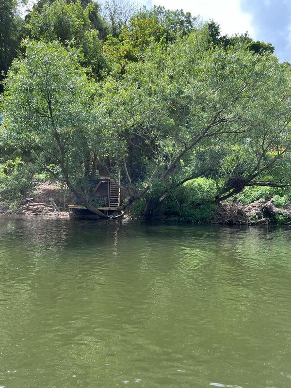 Steve's house