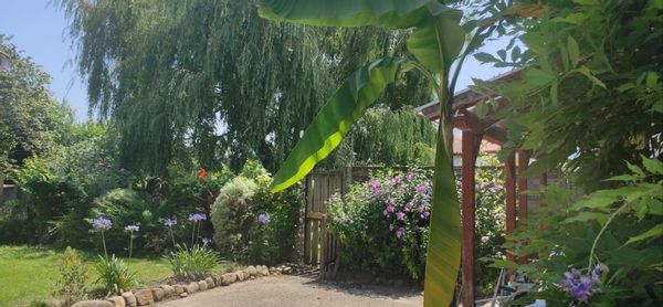 Chez Marie Jo et Beñat. Marie Jo eta Beñaten etxea