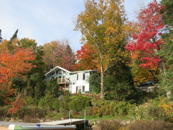 Nadine's lakefront cottage