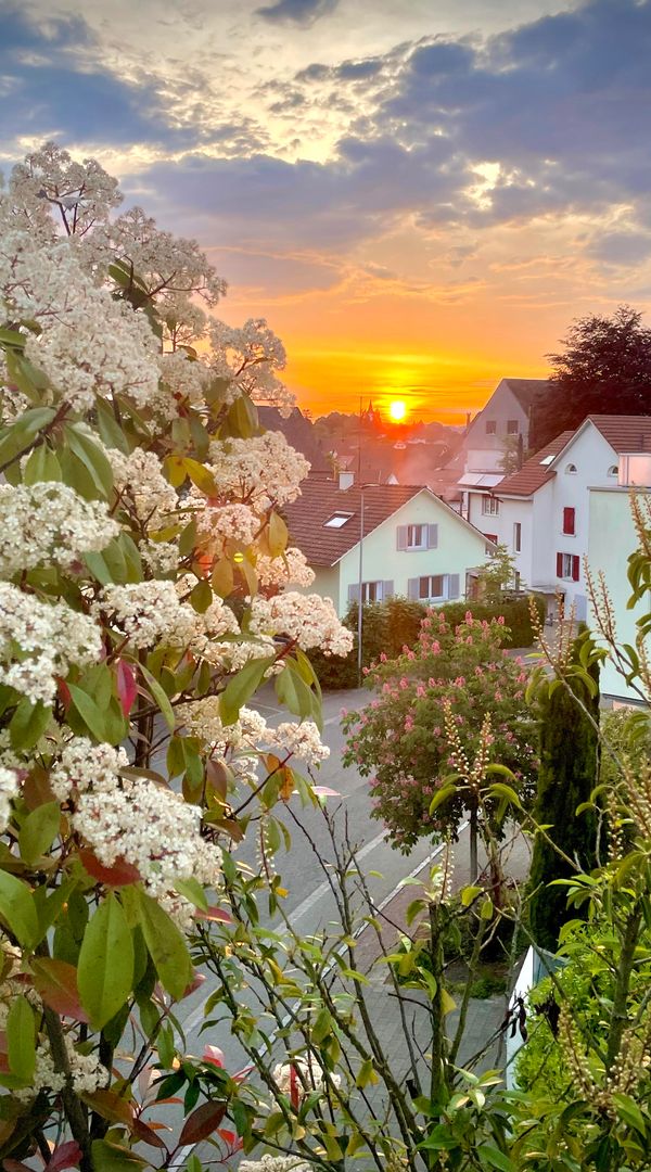 La maison de Fernando
