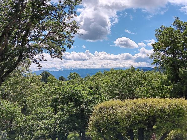 Chambre privée, pour une parenthèse détente, nature, authentique en sud Ardèche.