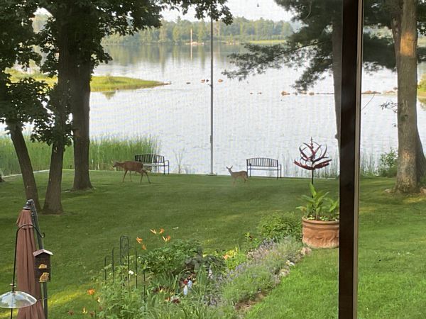 Marions hus