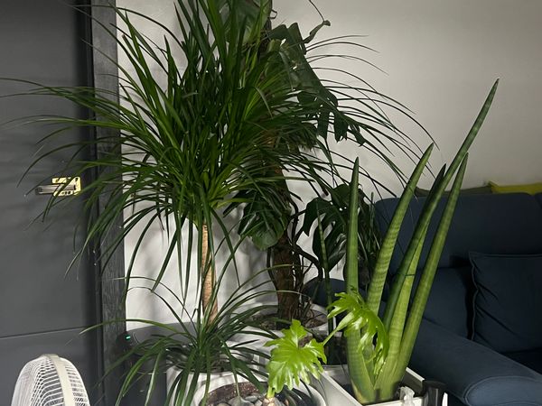 Hyemin's private room