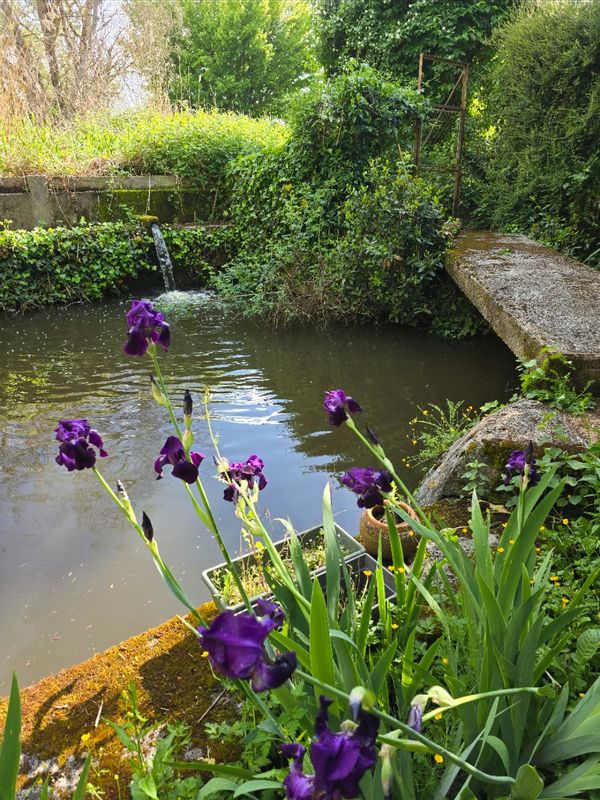 La maison au petit lavoir